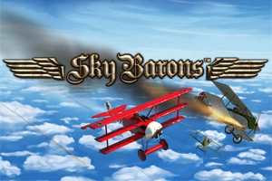 24231 sky barons